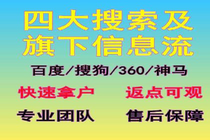 某电商平台的SEM运营实战与效果分析