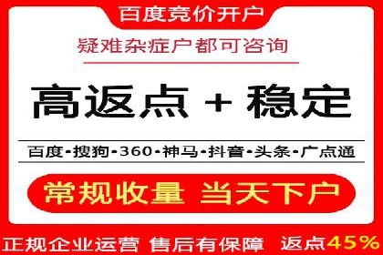 百度SEO推广策略全解析：某企业从零到一的成长历程